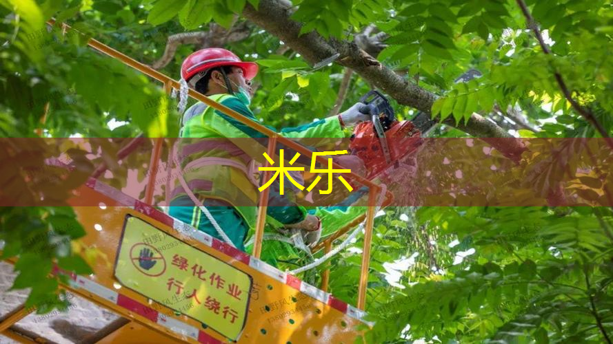 mile·米乐m6：网球拍线小黑拍怎么用的