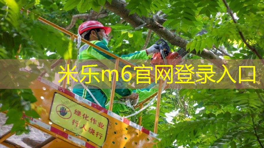 史莱辛格网球拍有哪些系列
