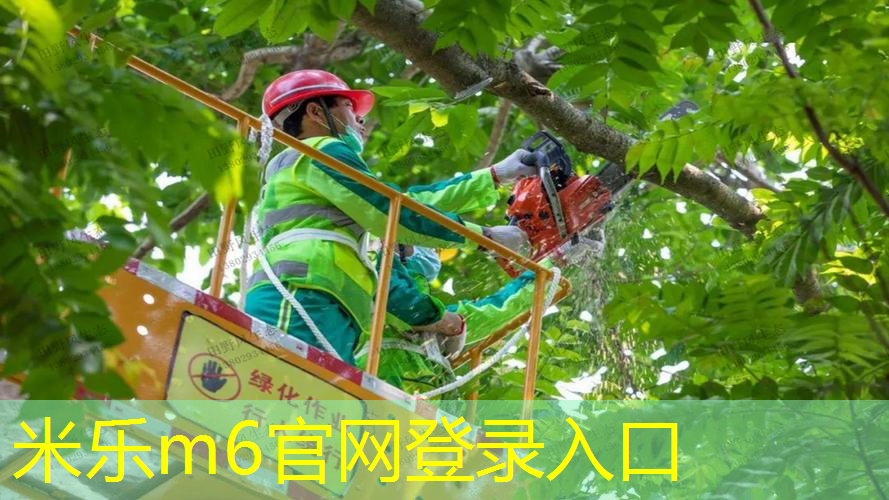 鲨跃网球拍什么材质最好